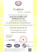 China Jiangxi Huatesheng New Material Limited Company certificaten